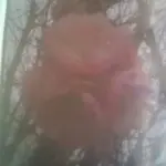 眉宇间淡淡的忧伤