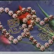 🎤风一样的男孑🎵