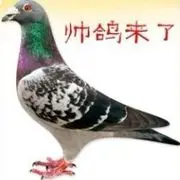 j见你真高兴
