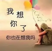 梦哈儿