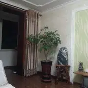 一个屯的