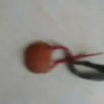 无言的结局，，，