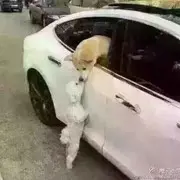 俺90后农民z