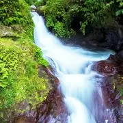 大格5
