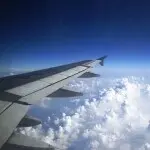 豪哥︻┳═一