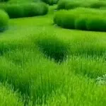 (海阔天空）