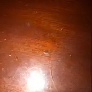 也好可爱哦