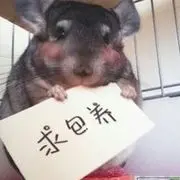 默默ㄨ℉守护℅`
