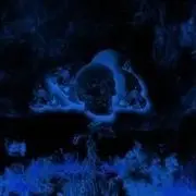 生已无欢