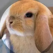 看到你很快乐