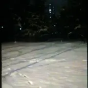 爱财哥哥