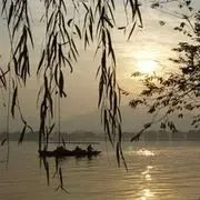夕阳醉了♫