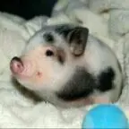 壞人｀
