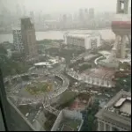 会，飞鱼