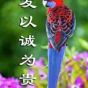 花好月圆-勤先