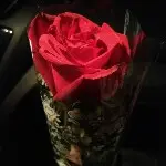 打死小三，说的就是你