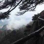 ♬简ぃ宇