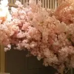 美好ov9