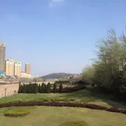 丸子酱🌸