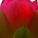 y谁在眼泪漂在夜空