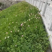 你好，小星星呀！