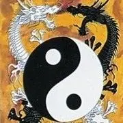@黑愚白@