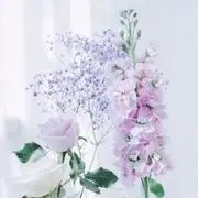 9876一年就磕一次