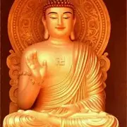 飞龙在天qf