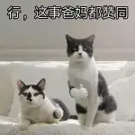 ≈爸爸