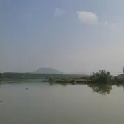猪兜八