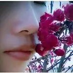 @白狐