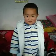 紫色蔷薇nl