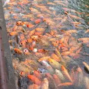 百度和腾讯