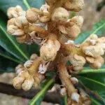 @听雨@