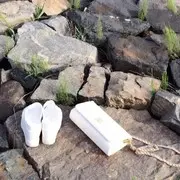 一切随遇而安²⁰¹⁷