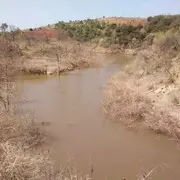 山中的人