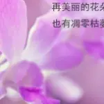 取个名想一年