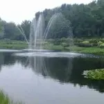 微信_9154687