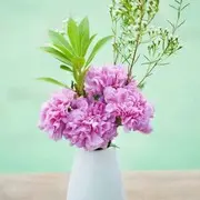 🎩🍇🍑🍇🎂
