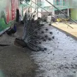 相知相爱1314