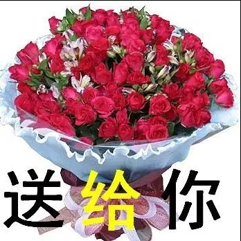红太阳!c的主播照片