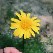 我是班的