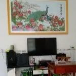 石花酒仙