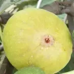 专业焊接