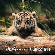 江山万里不及你