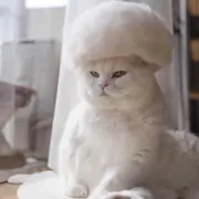 陆如一