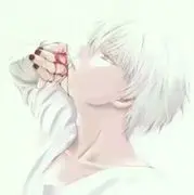 叶橙。。