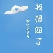 ☆╯肚兜猪╭☆