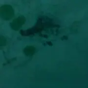 YISNT爱熙