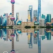 奇。黑曼巴蛇🐍